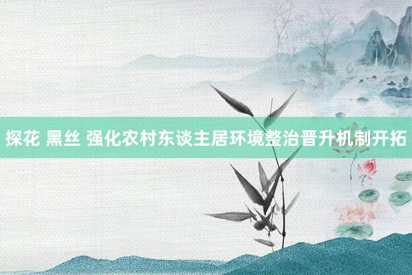 探花 黑丝 强化农村东谈主居环境整治晋升机制开拓