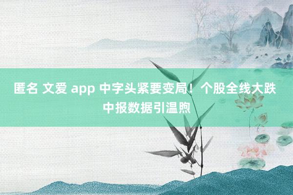 匿名 文爱 app 中字头紧要变局！个股全线大跌 中报数据引温煦