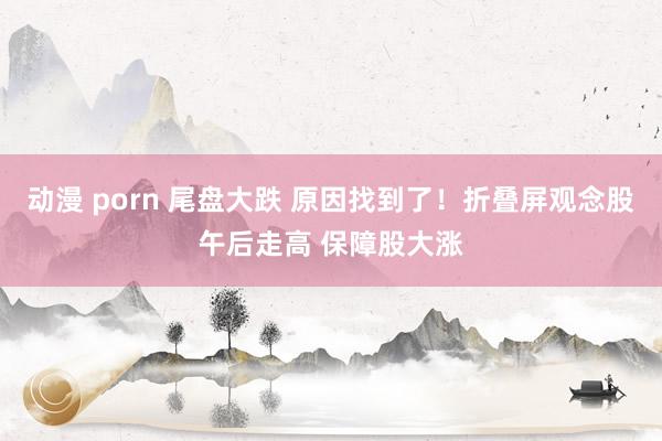 动漫 porn 尾盘大跌 原因找到了！折叠屏观念股午后走高 保障股大涨