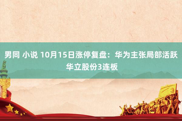 男同 小说 10月15日涨停复盘：华为主张局部活跃 华立股份3连板