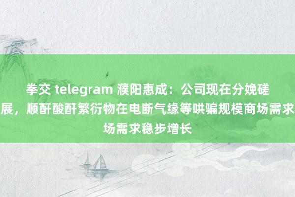 拳交 telegram 濮阳惠成：公司现在分娩磋磨有序开展，顺酐酸酐繁衍物在电断气缘等哄骗规模商场需求稳步增长