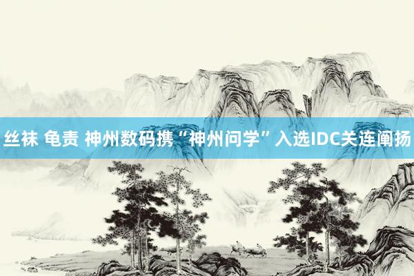 丝袜 龟责 神州数码携“神州问学”入选IDC关连阐扬