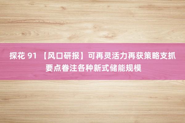 探花 91 【风口研报】可再灵活力再获策略支抓 要点眷注各种新式储能规模