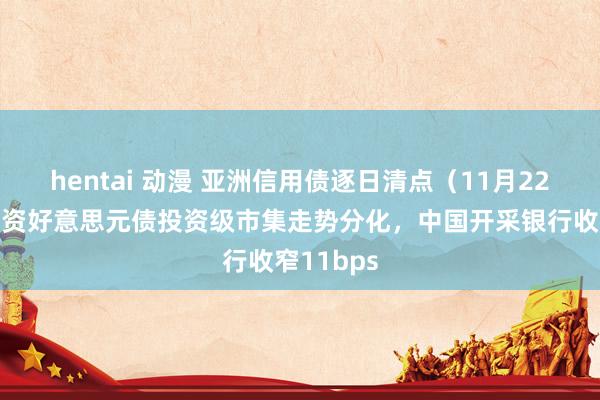 hentai 动漫 亚洲信用债逐日清点（11月22日）：中资好意思元债投资级市集走势分化，中国开采银行收窄11bps