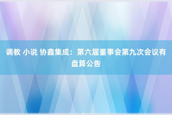 调教 小说 协鑫集成：第六届董事会第九次会议有盘算公告