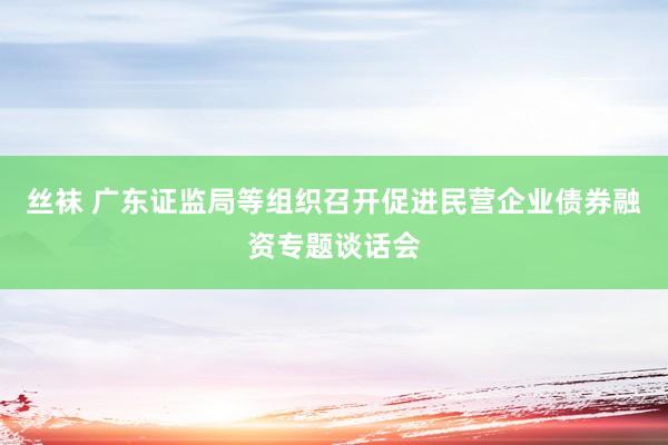 丝袜 广东证监局等组织召开促进民营企业债券融资专题谈话会