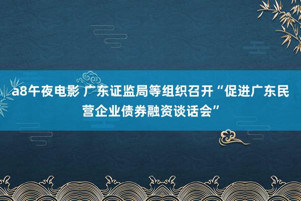 a8午夜电影 广东证监局等组织召开“促进广东民营企业债券融资谈话会”
